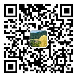 大发Welcome彩票注册